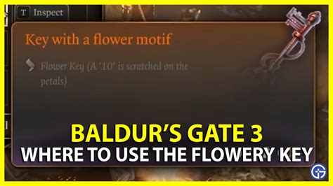 flophouse de fraygo|Baldur’s Gate 3: Where to Use the Strange Flowery。